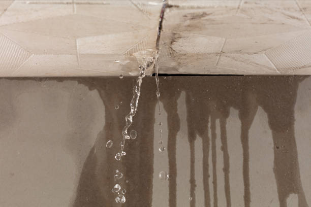 Professional Water Damage Repair technician working in Westhoff, TX
